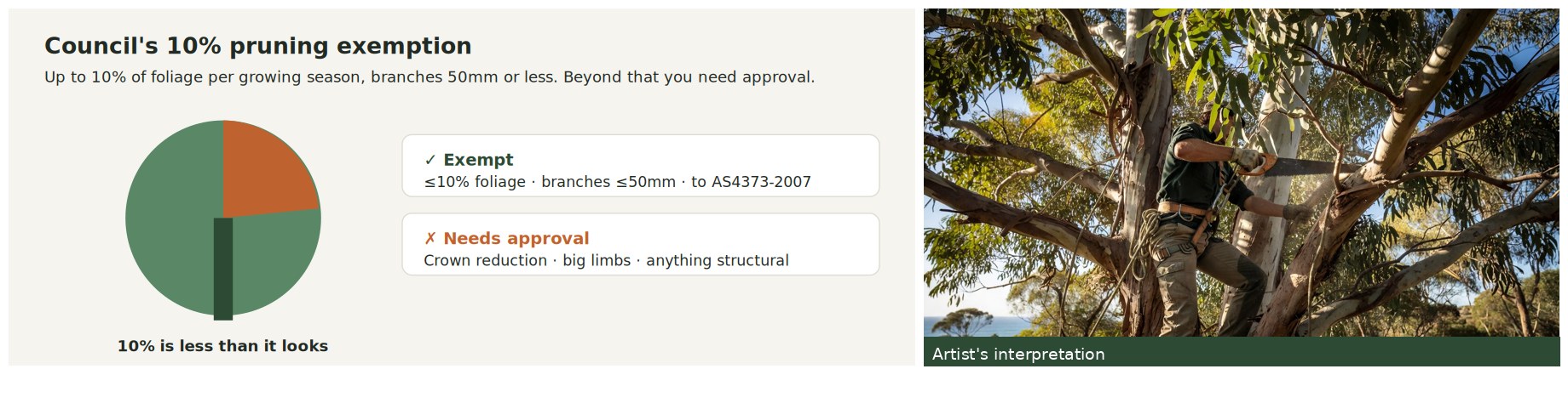 Diagram showing 10 percent of a tree canopy shaded, beside a photographic interpretation of an arborist pruning a small branch.