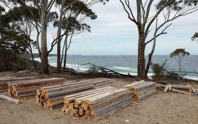 A partially cleared coastal block